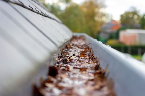 Commercial Gutter Cleaning in Lakeville