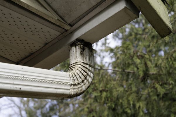 Downspout Cleaning in Lakeville
