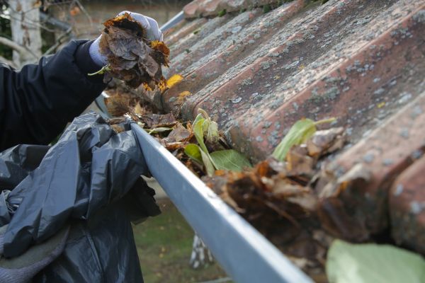 Commercial Gutter Unclogging in Lakeville