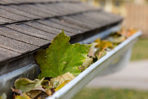 Commercial Downspout Cleaning in Lakeville