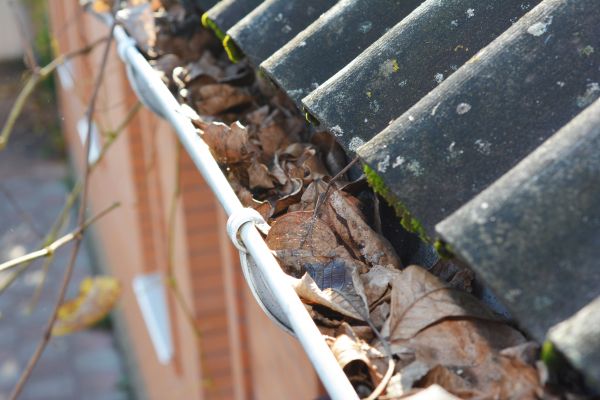 Cost of Home Gutter Cleaning in Lakeville