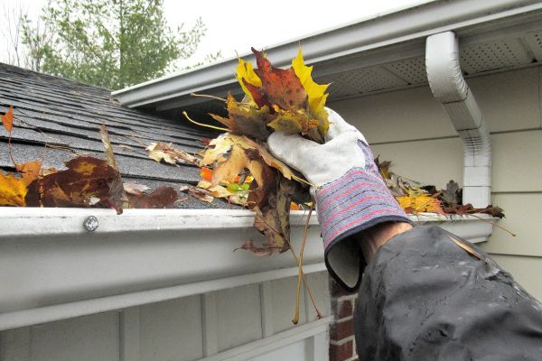 House Gutter Cleaning in Lakeville