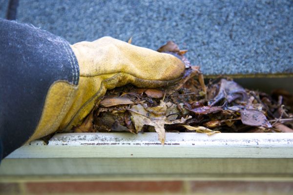 Cost of Jammed Gutter Cleaning in Lakeville