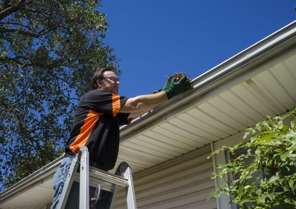 Cost of Eavestrough Clearing in Lakeville