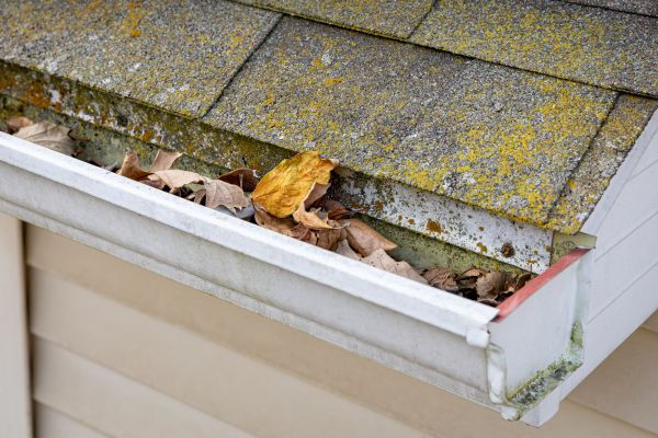 Cost of Garage Gutter Cleaning in Lakeville