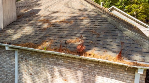 Cost of Gutter Pine Needle Removal in Lakeville