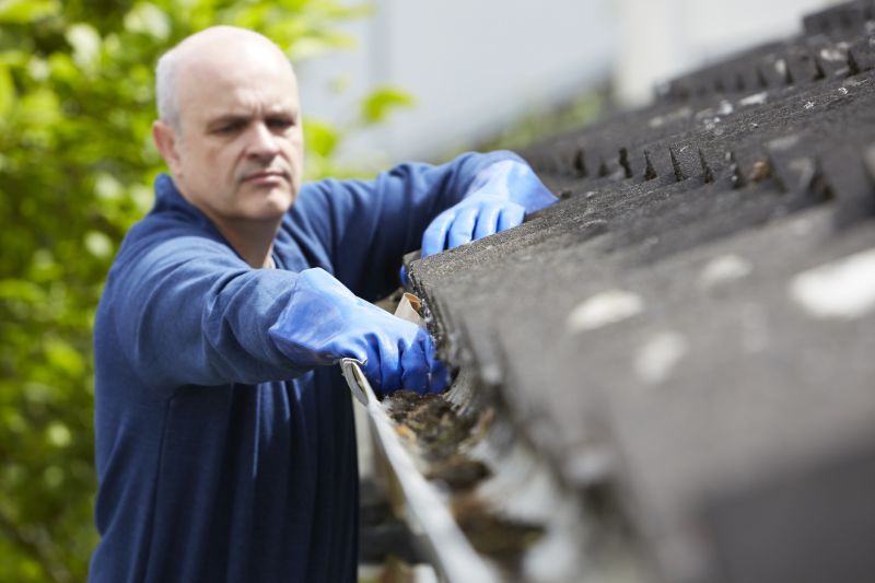 Business Gutter Cleaning