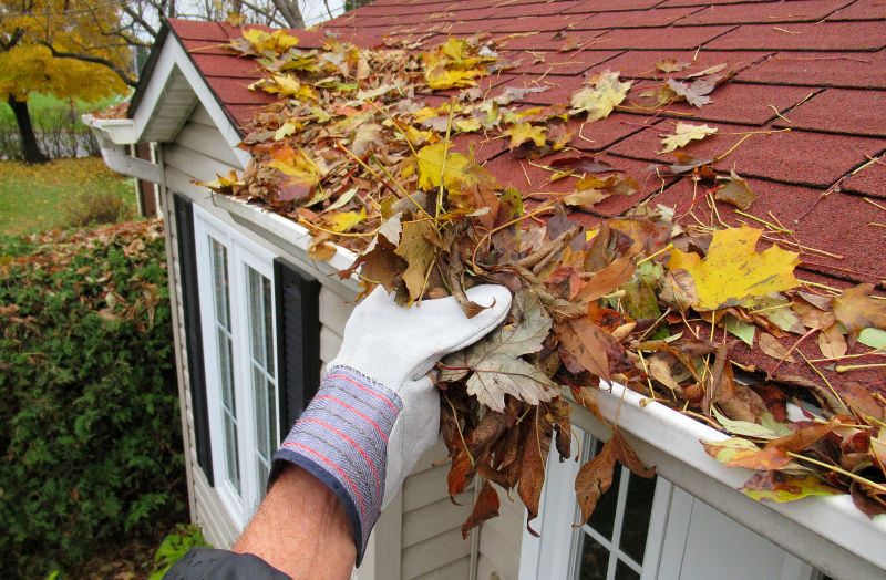 Roof Gutter Cleaning
