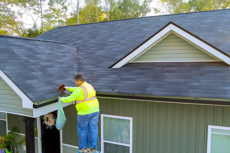 Seamless Gutter Cleaning